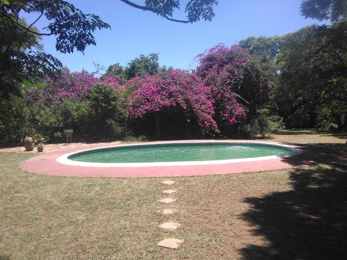 Limerick Cottages Bulawayo Bagian luar foto